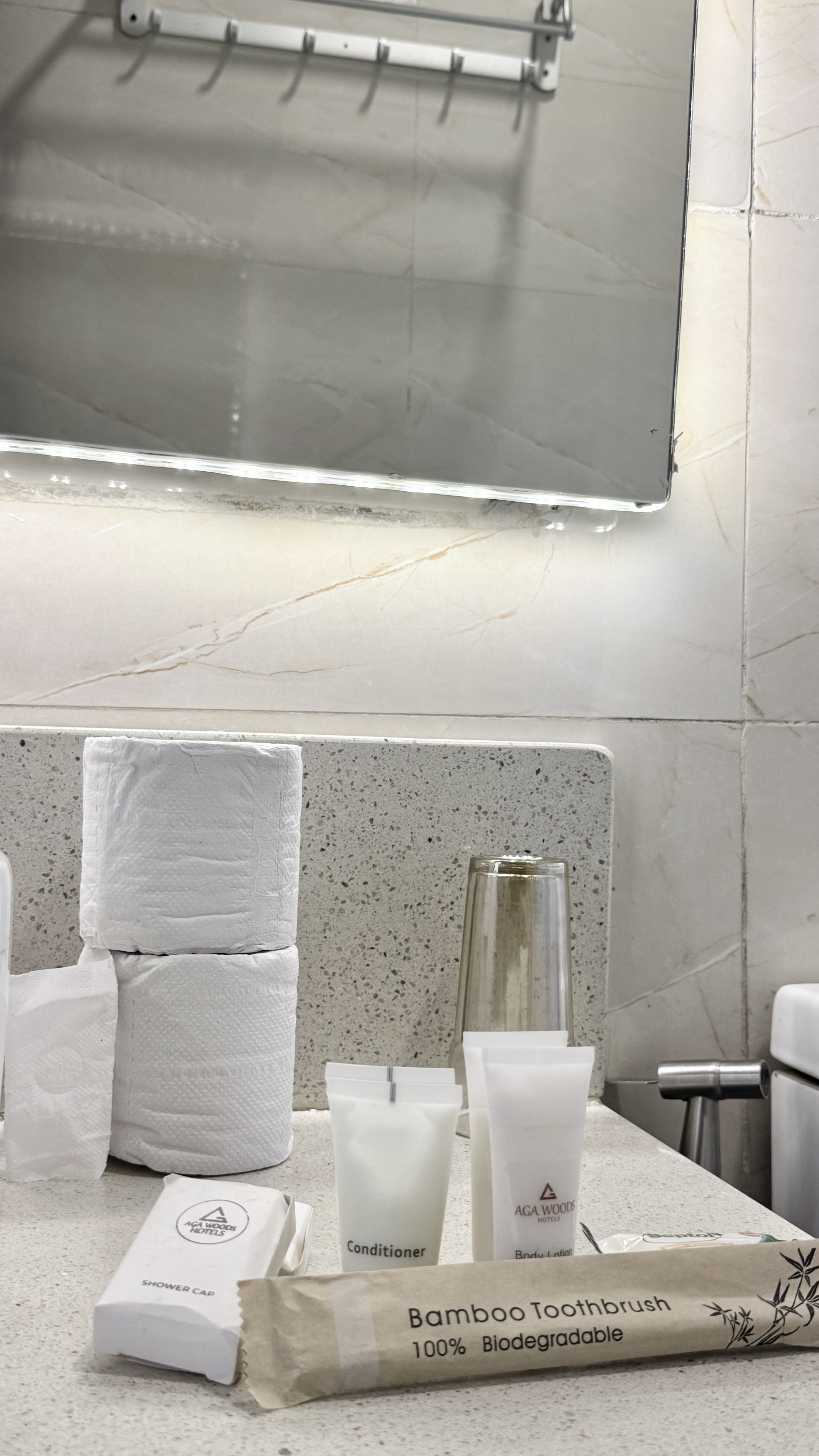 Diplomat Suite bath